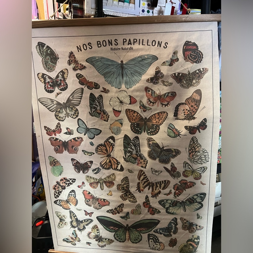 Canvas Butterfly wall hanging